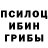 Псилоцибиновые грибы Psilocybine cubensis Stina Novakowska