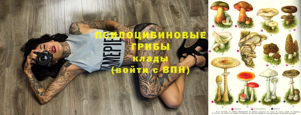 Альфа ПВП Алексин