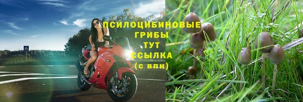 мескалин Заводоуковск