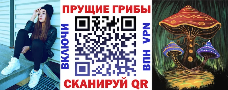 Галлюциногенные грибы мицелий  закладки  Архангельск 